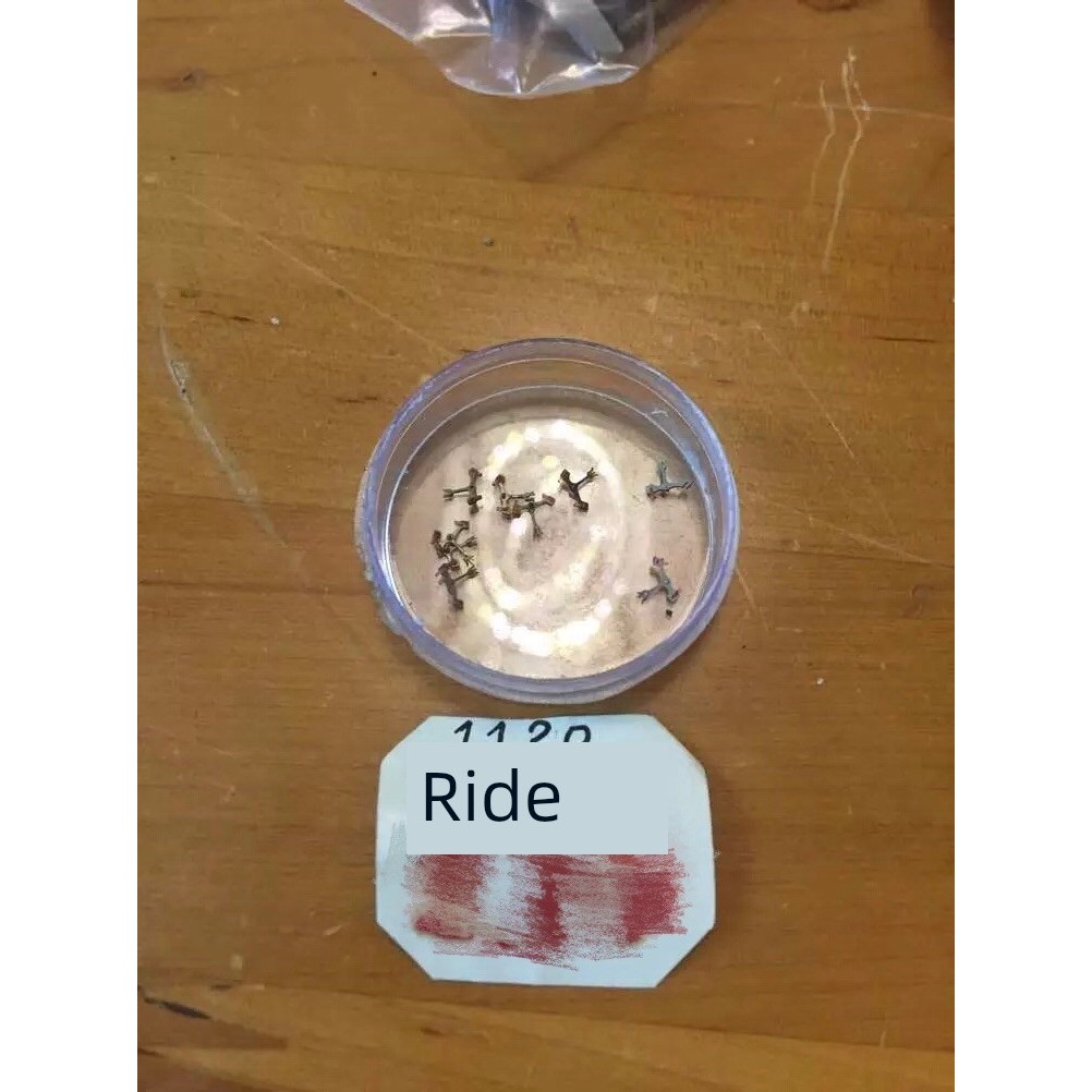 Vintage Stock Old Goods 1120 Model Watch Accessories Horseback Ridingkk9999.th20260505142514