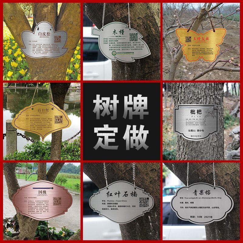 【现货】树牌挂牌不锈钢园艺标签牌防水树名树木标识牌介绍悬挂吊定制花园Flower and grass signs, acrylic tree signs, green signage, tree in