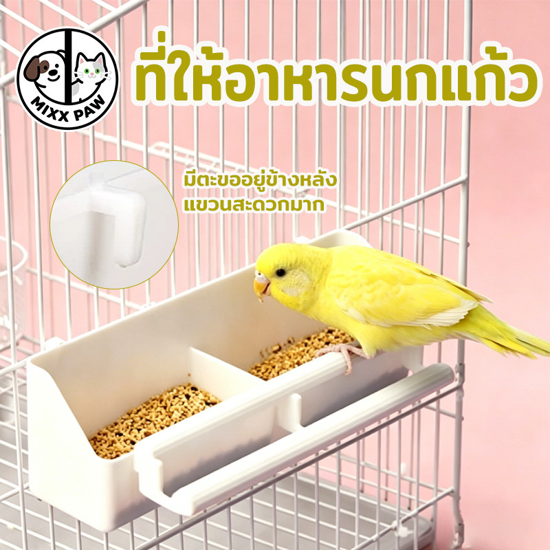 ที่ให้อาหารนกแก้ว 2in1 ถ้วยพลาสติก2ช่องใหญ่ ใส่อาหาร, น้ำ ชามอาหารนก ถ้วยอาหารนกนกแก้ว