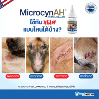 MicrocynAH ไมโครซิน สเปรย์พ่นแผล ฆ่าเชื้อแบคทีเรีย ไวรัส เชื้อรา สำหรับสัตว์ทุกชนิด ขนาด 59 ml