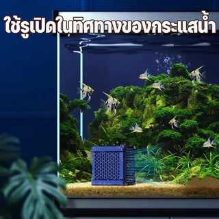 คาร์บอนกรองตู้ปลา คุณภาพพรีเมียม ช่วยกำจัดกลิ่นไม่พึงประสงค์ ขจัดปัญหาน้ำเหลืองได้ดีเยี่ยม กรองและดูดซับสิ่งปนเปื้อนในน้