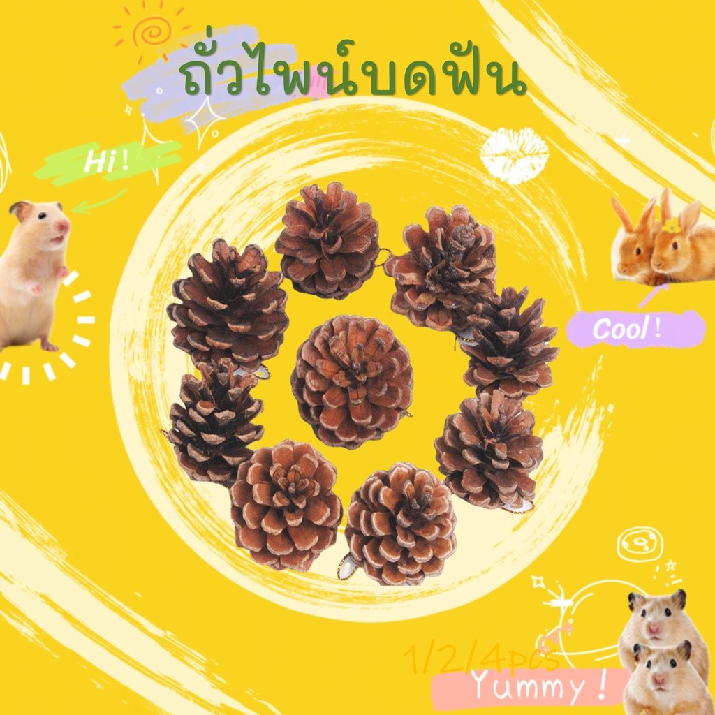 [hamster travel]รังสำหรับแฮมสเตอร์ ที่ซ่อนตัว ของเล่นไม้เนื้อแข็งทนทาน บ้านไม้ตกแต่ง อุปกรณ์สำหรับสัตว์เลี้ยงขนาดเล็ก