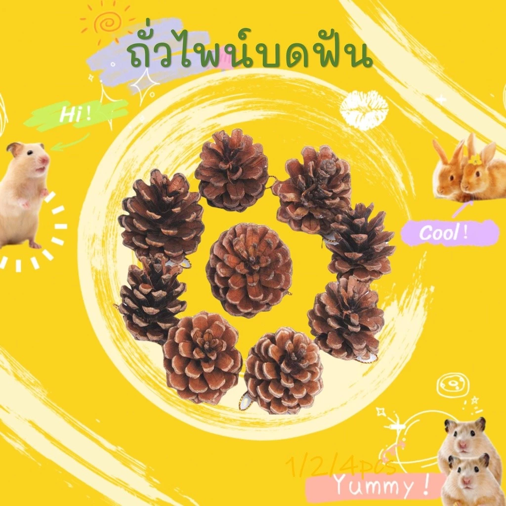 [hamster travel]ของเล่นเคี้ยวสำหรับแฮมสเตอร์ ลูกสน ของเล่นเคี้ยวสำหรับสัตว์เลี้ยง ของตกแต่งกรงแฮมสเตอร์