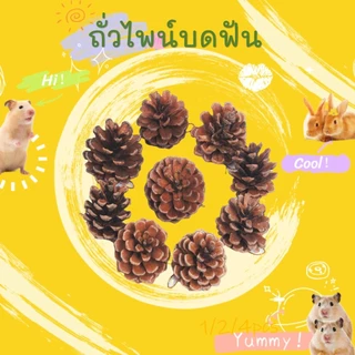 [hamster travel]ของเล่นเคี้ยวสำหรับแฮมสเตอร์ ลูกสน ของเล่นเคี้ยวสำหรับสัตว์เลี้ยง ของตกแต่งกรงแฮมสเตอร์
