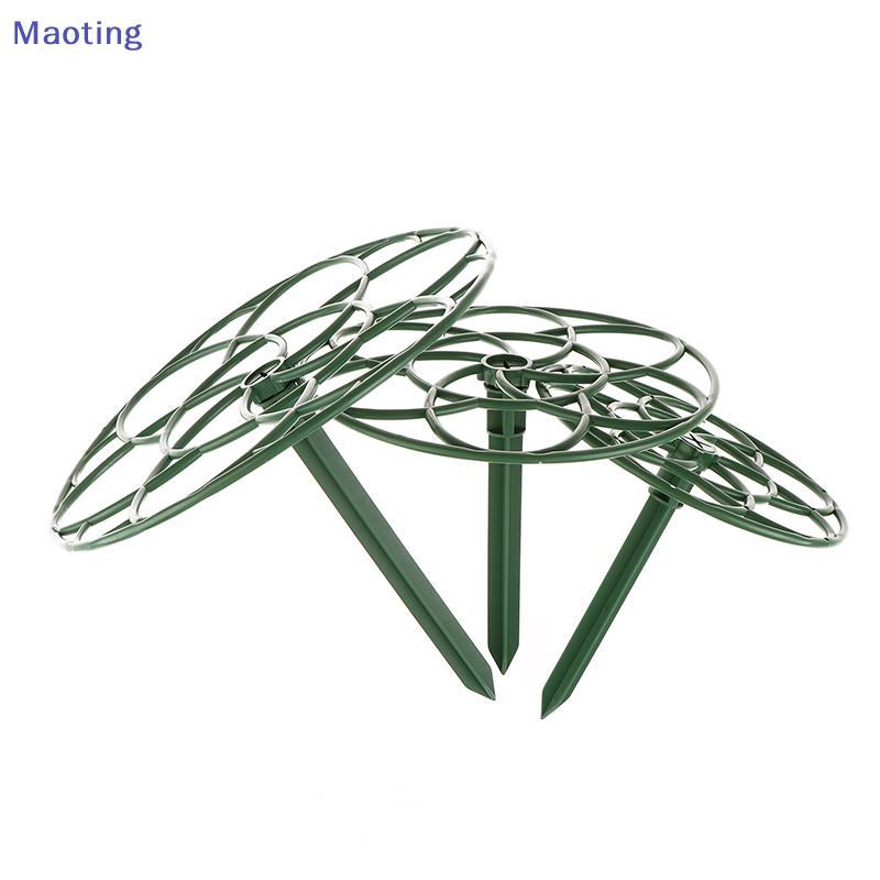 [maoytingHOT] 1 ชิ้นพลาสติกสวน Staable บอนไซปีนเขากรอบกรงพืชกรอบสนับสนุนขาตั้งปีนเขา Vine Ra อุปกรณ์ทําสวน [Mt]