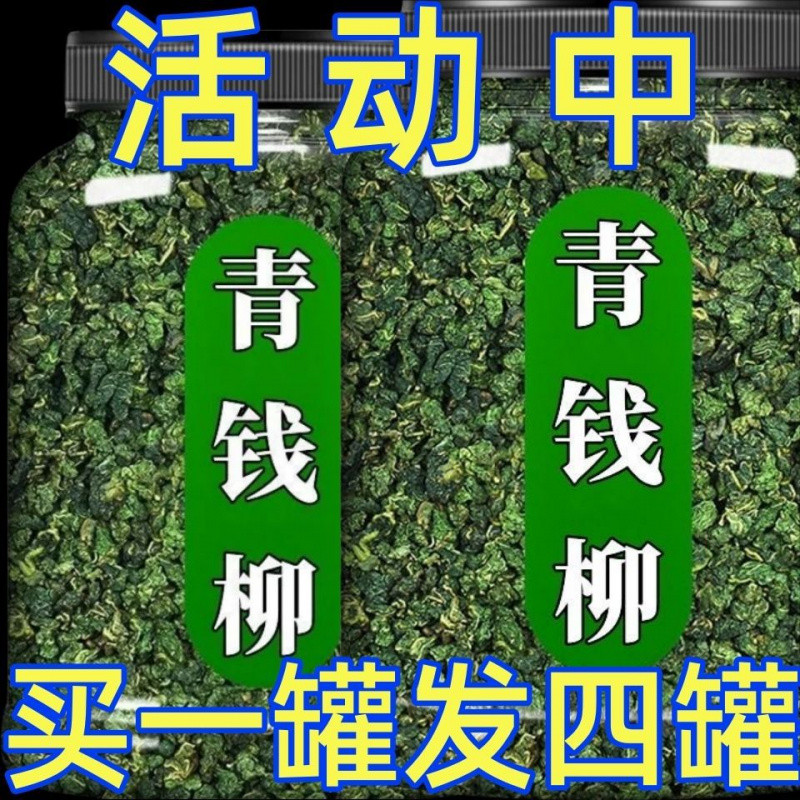[King of Botanicals] Gangxi Xiushui Wild Green Money Willow Country Origin Place Ecologic Green Mone