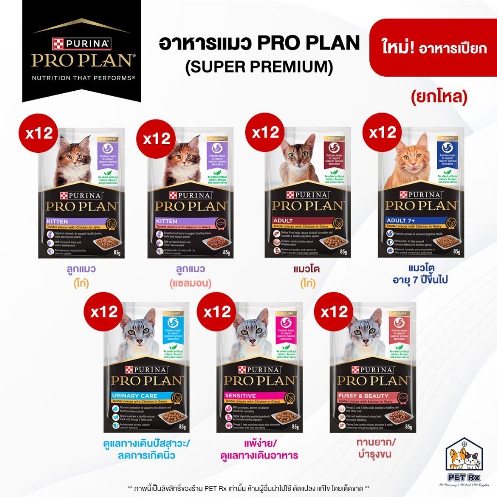 [ยกโหล!] 🔥 PRO PLAN (โปรแพลน) รวม! อาหารเปียกแมวเกรดซุปเปอร์พรีเมียม ครบทุกสูตร 85 g. x 12 ซฮง (Proplan)