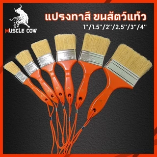 MUSCLE COW แปรงทาสีขนสัตว์แท้ 1-4" ด้ามทน ขนแปรงหนา ทาสีเรียบ ทนทาน สำหรับงานทาสี ตกแต่ง