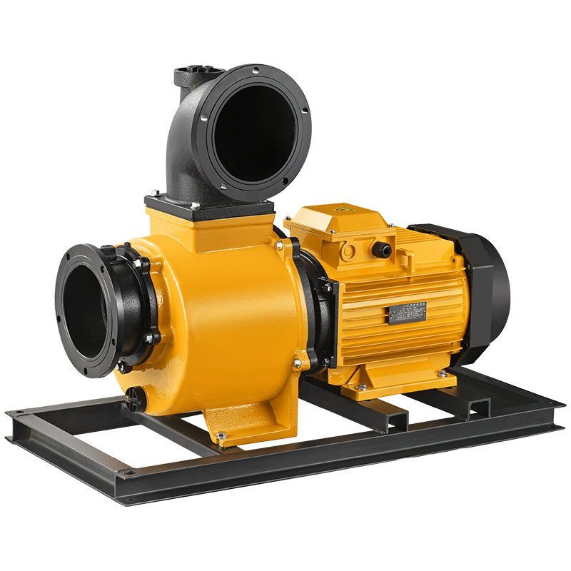 Farm High Flow Self Priming Pump High Pressure 220V 380V Irrigation Water Motor Pump