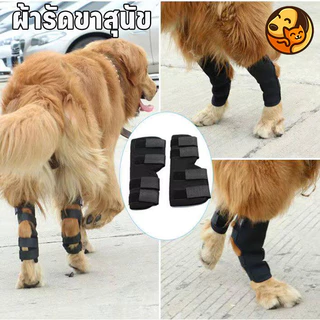 ผ้ารัดขาสุนัข แบบยาว หลายขนาด ดามขาสุนัข เฝือกอ่อน บรรเทาอาการข้อขาอักเสบ ผ้าเบา ระบายอากาศดี