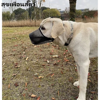หน้ากากปิดปากสุนัขตาข่ายระบายอากาศ 😷ป้องกันกัด ป้องกันเห่า ป้องกันกินของเสีย 🐶ใช้ได้ทั้งสุนัขขนาดเล็ก กลาง ใหญ่