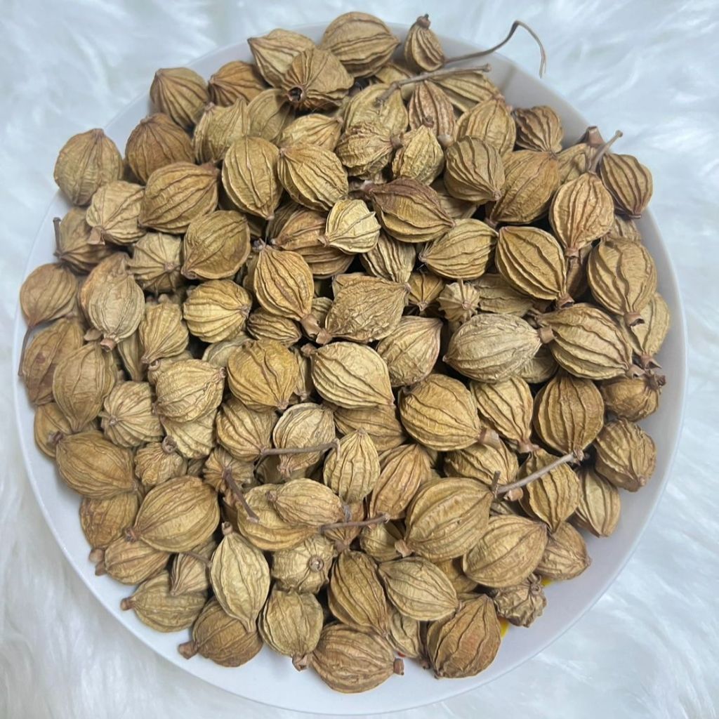 ลูกเร่ว  (砂仁 ) ซายิ้ง ผลเร่ว  Fructus Amomi ซาเหริน Sharen เร่วดง Villous Amomum Fruit สมุนไพรจีน