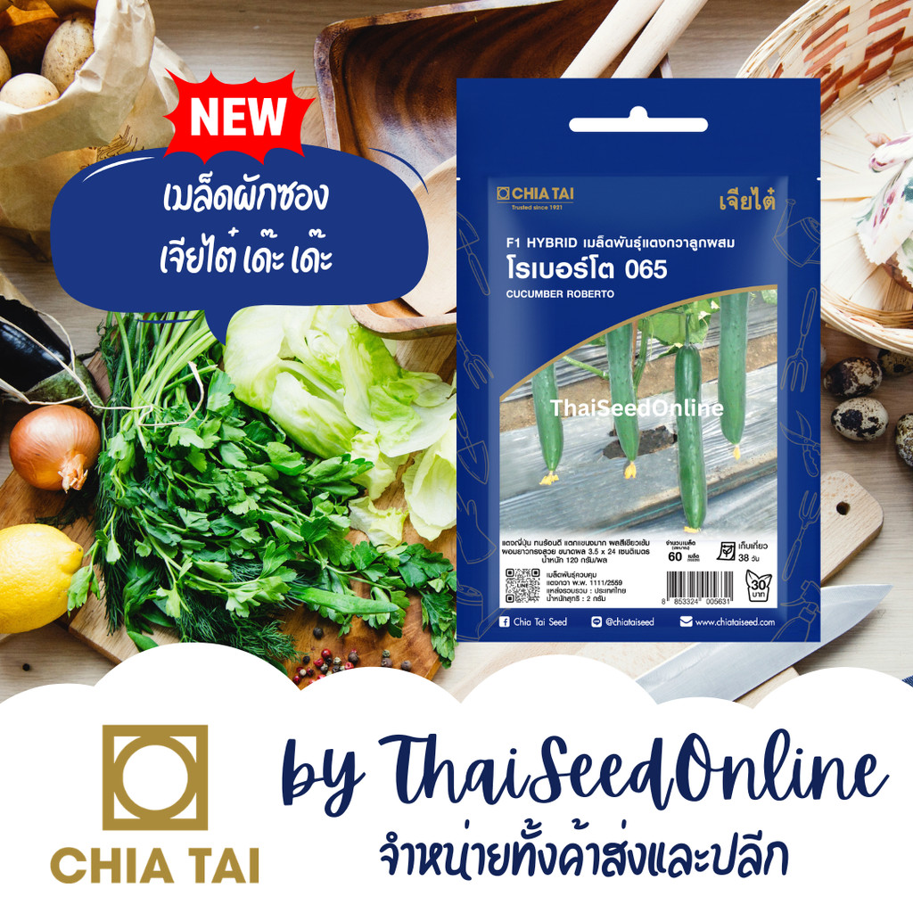 CTSE เมล็ดพันธุ์ แตงกวาโรเบอร์โต แตงญี่ปุ่น โรเบอร์โต 065 2 กรัม ตราเจียไต๋ Japanese Roboto