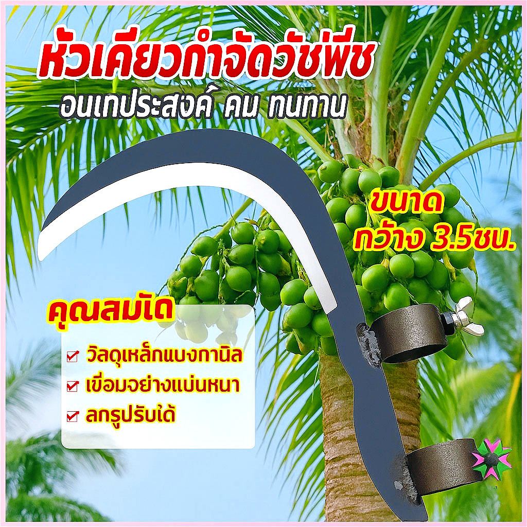 MQQ มีดขอ เคียว เกี่ยว เก็บผลไม้ บนที่สูง ไม่ต้องปีนป่าย ให้เสี่ยงอันตราย เหล็กแมงกานีสขนาดใหญ่ หนา คม แข็งแรงทนทาน