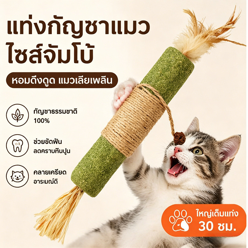 ไม้ฟันหญ้าแมว ของเล่นทำความสะอาดฟันแมว ของเล่นแมว อันใหญ่มาก 30/21CM
