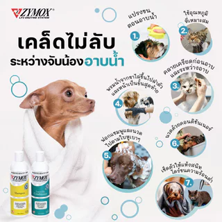 Zymox [แท้💯] แชมพูและครีมนวดสำหรับโรคผิวหนังติดเชื้อ แบคทีเรีย เชื้อรา ยีสต์ โรคผิวหนัง 355 ml.