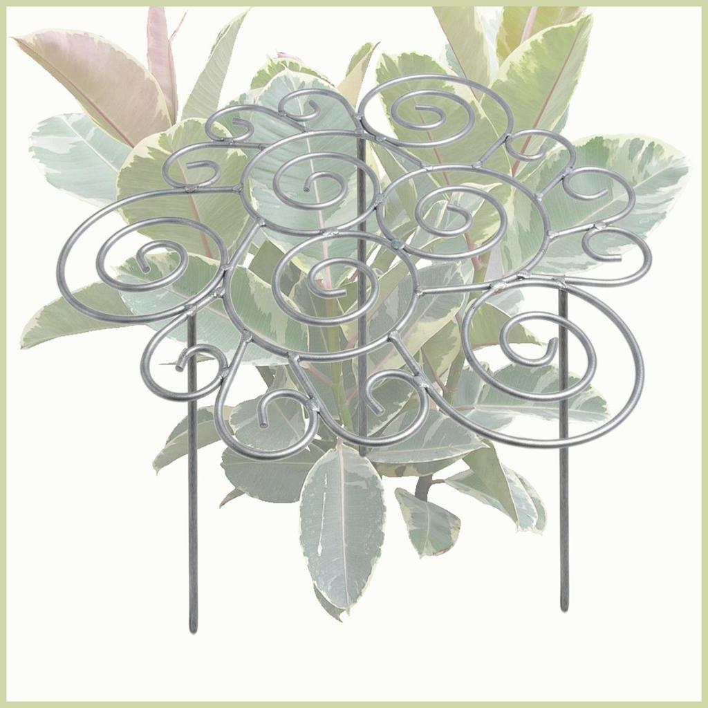 พืช Stem สนับสนุนพืชโลหะ Vine Helper Pothos สนับสนุนสําหรับกลางแจ้งในร่มสวนระเบียง Pothos Ivy Clemat