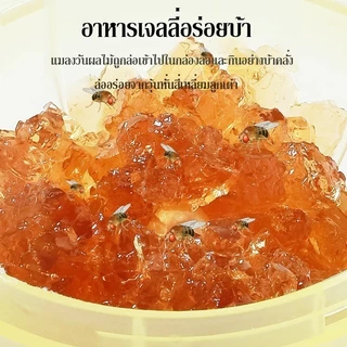 เหยื่อดักแมลงวันไล่แมลงหวี่ ไล่แมลงวัน ฆ่าแมลงหวี่ ไม่มีกลิ่นแรง ครอบคลุมพื้นที่กว้าง ในบ้านเรื่อนและอาคารสถานที่