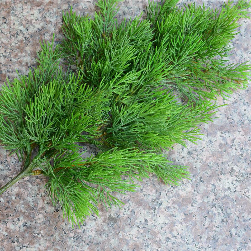 จําลองมังกร Cypress ใบ Pine Cypress สาขาปลอมพลาสติกชิ้นเดียวปลอมใบจําลองใบ Pine Cypress ใบ Cypress ใ