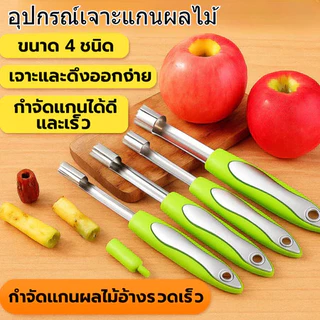 4 ชิ้น ชุดเครื่องมือคว้านผลไม้สแตนเลสด้ามจับพีพี เครื่องมือถอดแกนอเนกประสงค์ในครัวเรือน
