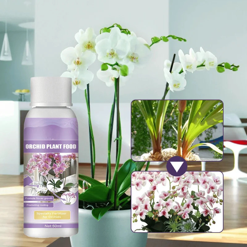 Plant Nutrition Liquid Flower Fertilizer Orchid Special Compound Growth Hydroponic Garden Plant Supp