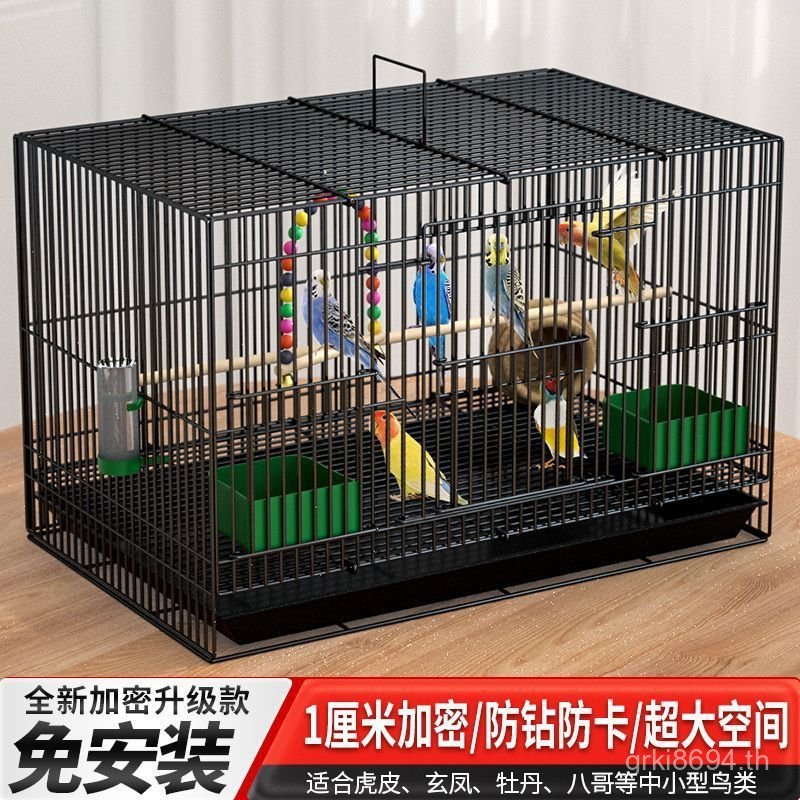 Phoenix Cage สีน้ําตาลข้อเสนอพิเศษ Bird Cage Breeding Acacia Bird Cage Clearance Bird Cage Manbird S