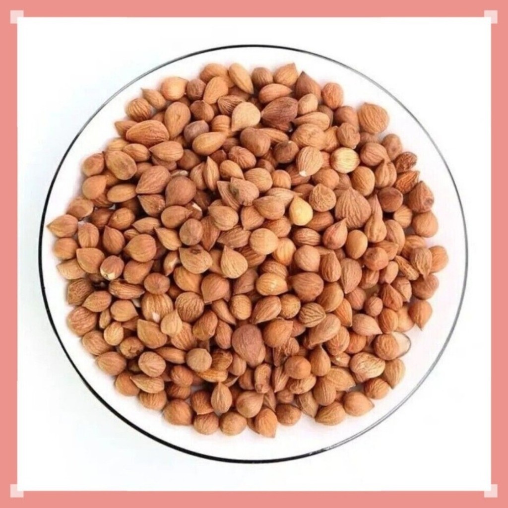 HELLOUYOUNG เมล็ดแอปริคอทออร์แกนิก Bitter Raw Superfood Keto Snack 250g