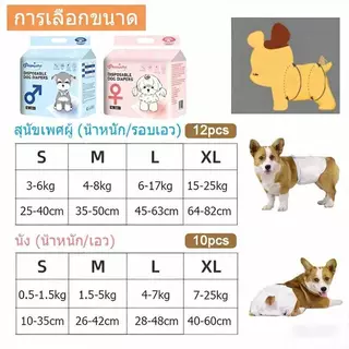 พร้อมส่ง ผ้าอ้อม ผ้าอ้อมสัตว์เลี้ยง แพมเพิสสุนัข เพศผู้เพศเมีย ราคาถูกS/M/L/XL