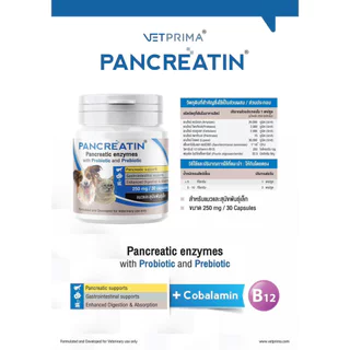 Pancreatin [แท้💯] ผลิตภัณฑ์เอ็นไซม์เสริมอาหาร สำหรับสุนัขและแมวที่มีภาวะตับอ่อนอักเสบ (แพนครีเอทิน) 30 แคปซูล (LYPEX)