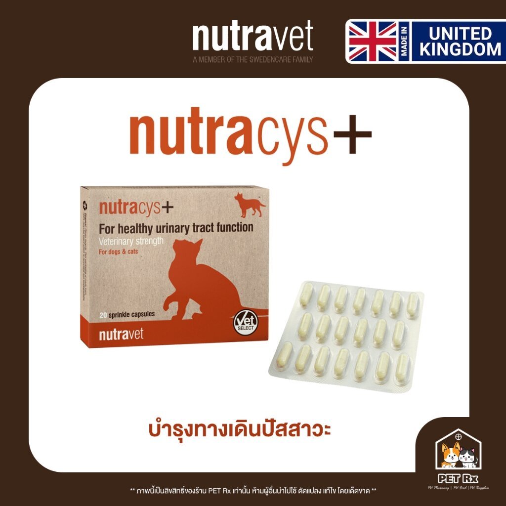 Nutracys+ [แท้ ] อาหารเสริมดูแลระบบทางเดินปัสสาวะ สำหรับสุนัขและแมว (Nutravet ) (Cystaid Plus)