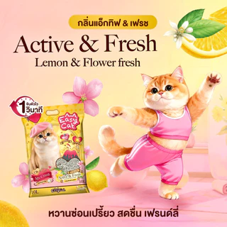 Easy Cat ทรายแมว Slow Released ขนาด 10 ลิตร