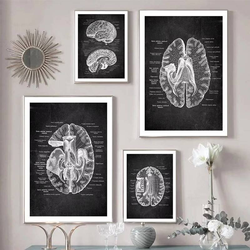 Vintage Human Head Anatomy Art Poster Medical Wall Picture Brain Neuroscience Canvas Painting Print 