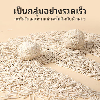 จัดส่งจากท้องถิ่น🚚ทรายแมวเต้าหู้ 6 ลิตร | จับก้อนเร็ว ห้องน้ําแมว กลิ่นหาย ส่วนผสมถั่วเหลืองธรรมชาติ 100% | ส่งฟรี