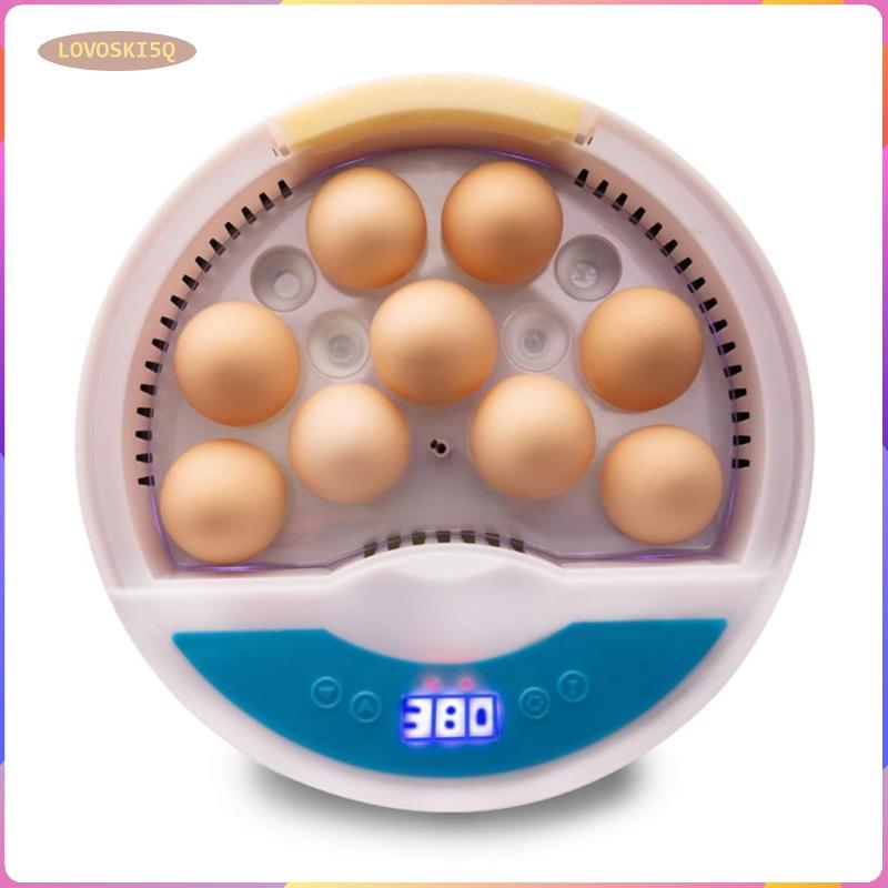 [lovoski5q] ไก่เป็ด 9Eggs Incubator อุณหภูมิควบคุม 50HZ สําหรับไก่เป็ด