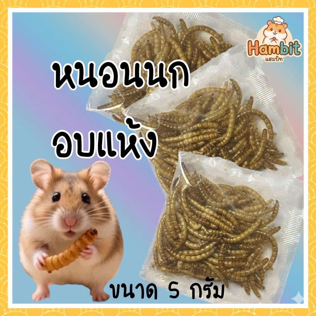 Hambit. หนอนนกอบแห้ง เกรดพรีเมียม 5g โปรตีนสูง บำรุงขน สำหรับแฮมสเตอร์และสัตว์เล็ก