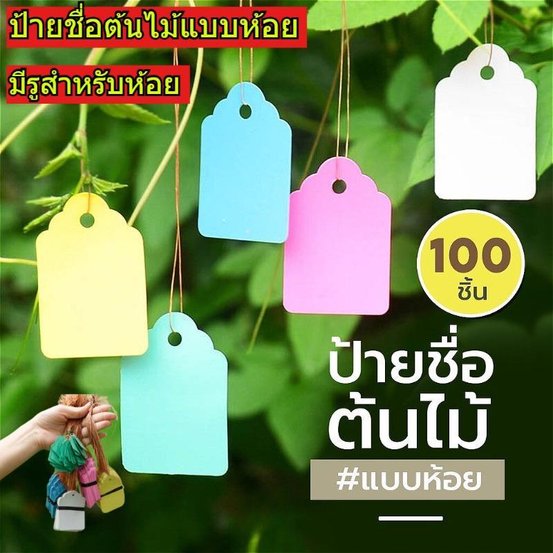 100ชิ้นแขวนแผ่นป้ายต้นไม้,แผ่นป้ายต้นไม้พลาสติก,ป้ายต้นไม้พลาสติกกันน้ํา,โรงงานเครื่องหมายแท็กที่มีรูสําหรับแขวน