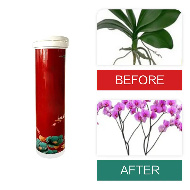 Garden Universal Slow-Release Tablet Recovery Orchid Succulent Plant Indoor Plant Organic Fertilizer