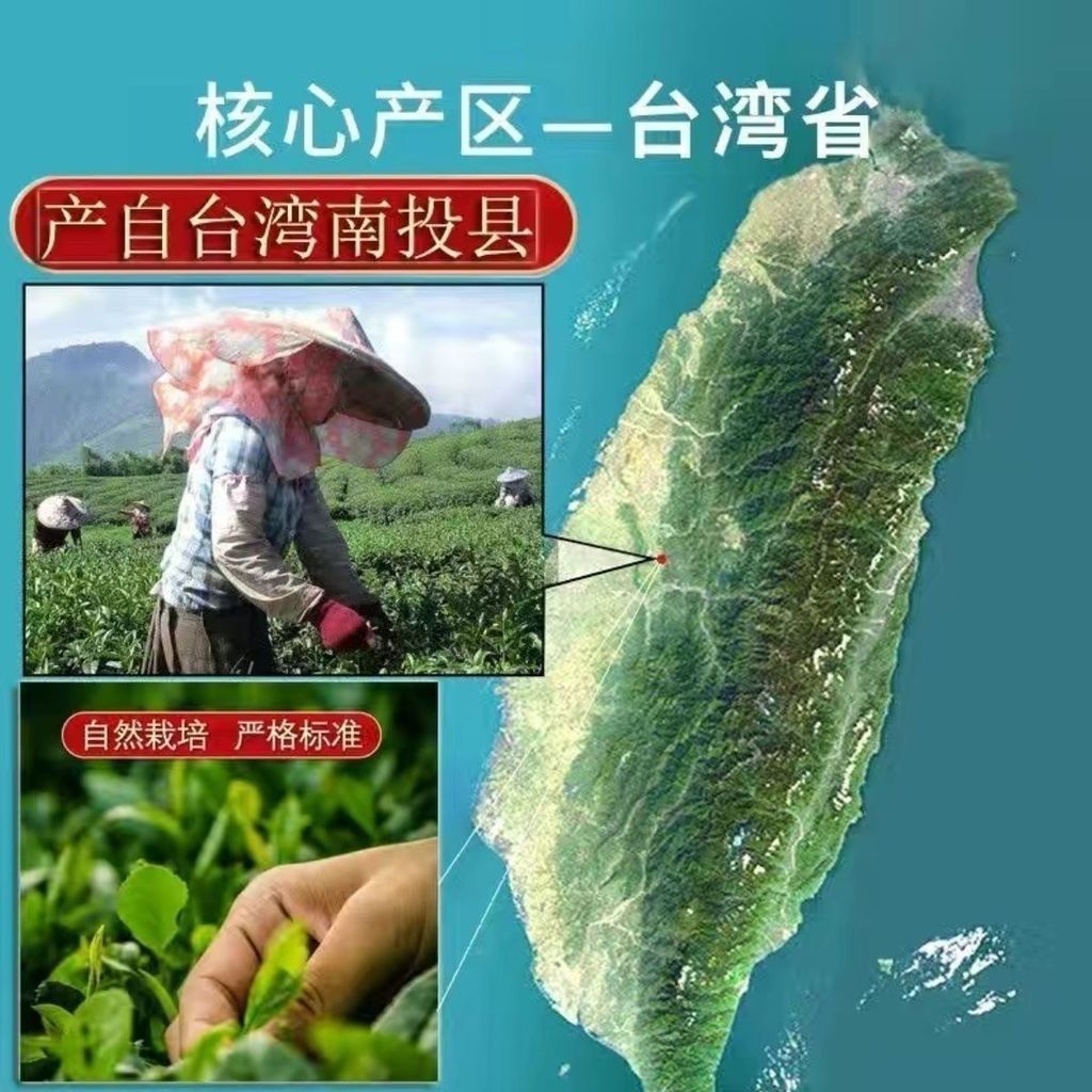 2025 สินค้าใหม่ไต้หวัน Alishan Alpine Tea Milk Fragrance Dongding Oolong New Tea Jinxuan Tea Fragran