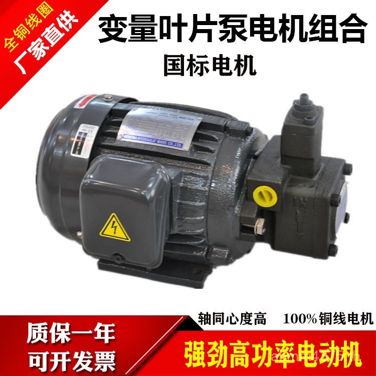 ปั๊มน้ํามัน 4030 ผสมไฮดรอลิก 0.75kw มอเตอร์ไฟฟ้าใบมีดปั๊ม 1.5kw พร้อม vp20 Assembly 2.2kw ANS7