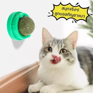 Mango กัญชาแมวหญ้าแมว 5 ชิ้น ลูกบอลแคทนิป กันชาแมว กัญชาเเมว catnip ball แคทนิปบอล ของเล่นแมวเลีย ขนมแมวเลีย ของเล่นแมว