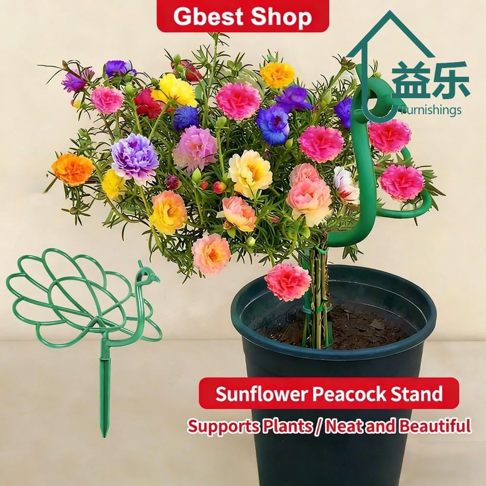 ANTINON Trellis รูปร่างนกยูง, กลางแจ้ง Stick กรอบสนับสนุนพืช, ผู้ถือหม้อพืชสวน Stake Courtyard ดอกไม้