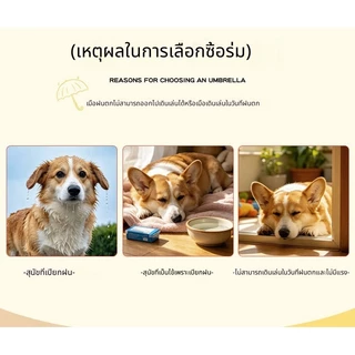 ((สินค้าใหม่) สําหรับสุนัขขนาดเล็กฉุดสุนัขโซ่สุนัขเดินร่มสัตว์เลี้ยงร่มเสื้อกันฝนเสื้อปอนโช 6