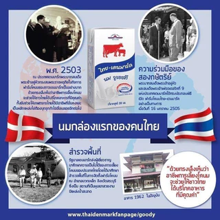 นมไทยเดนมาร์ค คละรส ขนาด 250 มล. ลัง 12 กล่อง นมโคแท้100% UHT จืด หวาน ช็อกโกแลต