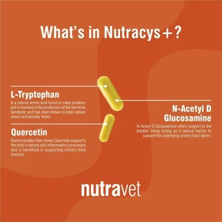 Nutravet [แท้💯] Nutramind / Nutraren / Nutracalm / Nutracys+ / Nutramarin+ / Nutraquin อาหารเสริมที่สัตวแพทย์แนะนำ 🇬🇧