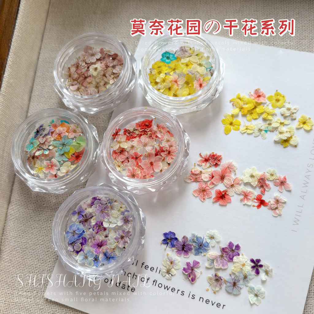 ประมาณ 30 เล็บ ดอกไม้แห้งวัสดุผสม Monet Garden ประณีตห้ากลีบ ตกแต่งเล็บดอกไม้ขนาดเล็ก