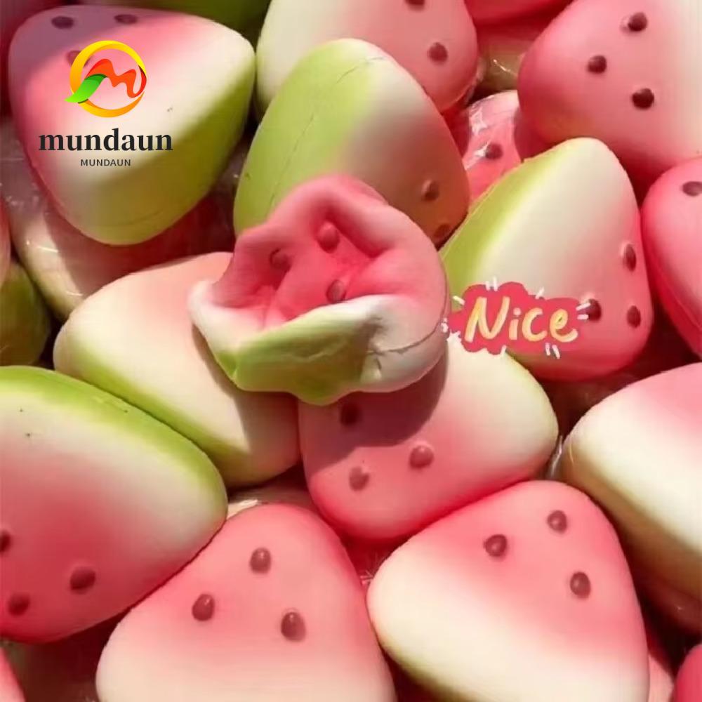 MUNDAUN ของเล่นสกุชชี่ป้องกันความเครียด​​, ​​รูปผลไม้ตลก​​ ของเล่นบีบนุ่มและทนทานปล่อยอารมณ์หยิกและการออกแบบบีบ​​ ​​ปลอดสารพิษ & ปลอดภัย​​ ​​เครื่องคลายเครียดแตงโม​​