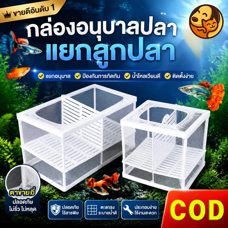 COD ตู้ฟักไข่ปลา ตาข่าย กล่องฟักไข่ ตู้ฟักไข่ปลา แบบตาข่าย กล่องแยกปลา แยกปลาลูกปลาขนาน เพาะพันธุ์ปลา+ฟักไข่