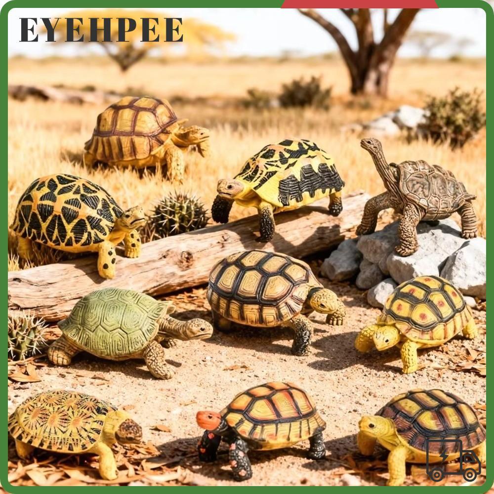 SERENDI Star Turtle, PVC Model Figurines เต่า, สัตว์เลื้อยคลานสัตว์รายละเอียดประติมากรรมรูปสัตว์ Geo