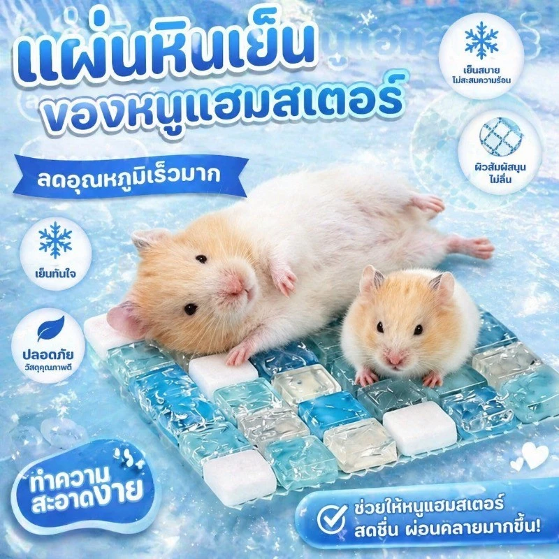 COD แผ่นหินเย็นของหนูแฮมสเตอร์ แผ่นคลายร้อนหนูแฮมสเตอร์ แผ่นเย็นสัตว์เลี้ยง ลดอุณหภูมิเร็ว ออกแบบมาสำหรับสัตว์เลี้ยง