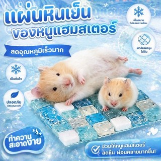 COD แผ่นหินเย็นของหนูแฮมสเตอร์ แผ่นคลายร้อนหนูแฮมสเตอร์ แผ่นเย็นสัตว์เลี้ยง ลดอุณหภูมิเร็ว ออกแบบมาสำหรับสัตว์เลี้ยง